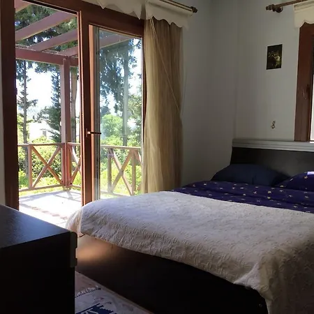 Onela Villa Gumusluk